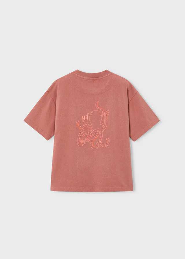 Camiseta niño tortuga The Boston Kids - Image 4