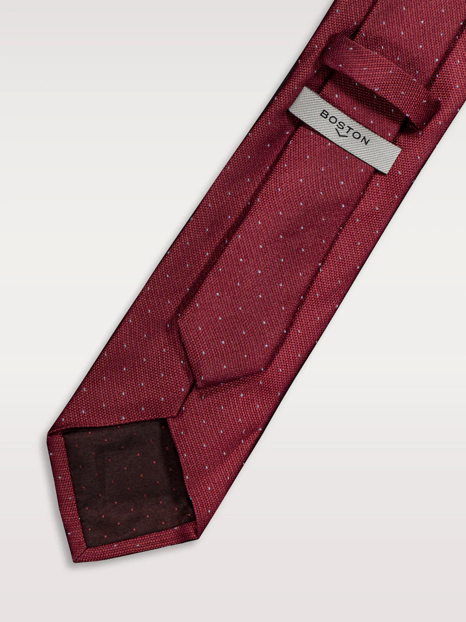 Corbata vestir topos - Image 4